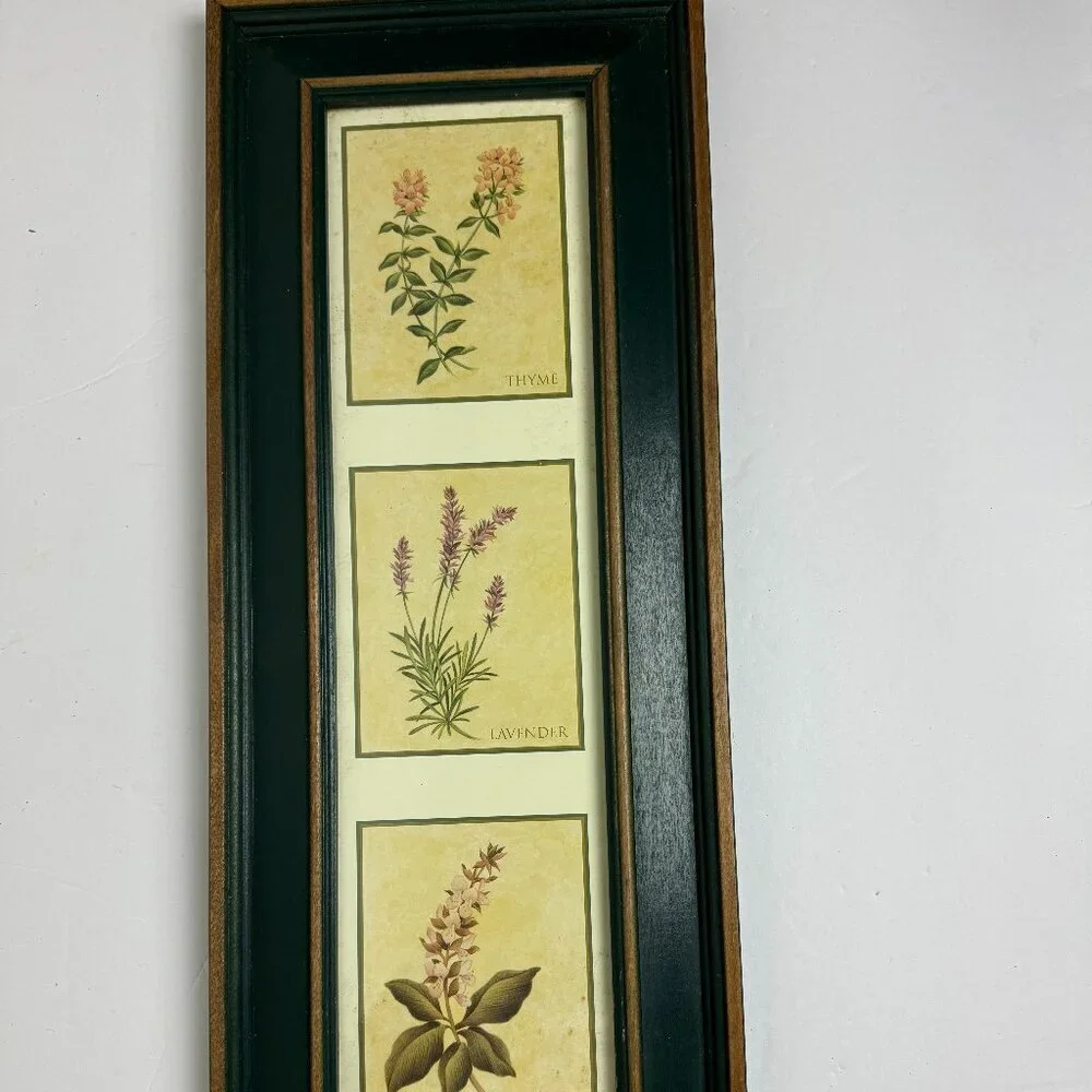 Vintage Country Style Picture Featuring Herbs Wall Decor Set of 2 Botanical ART
